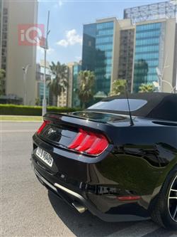 فۆرد مۆستانگ